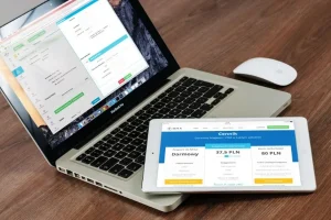 Professional Website